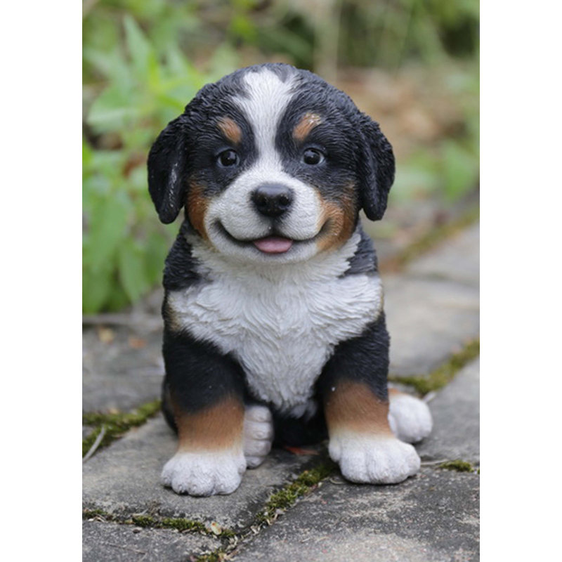 bernese mountain dog puppies bernese mountain dog puppies
